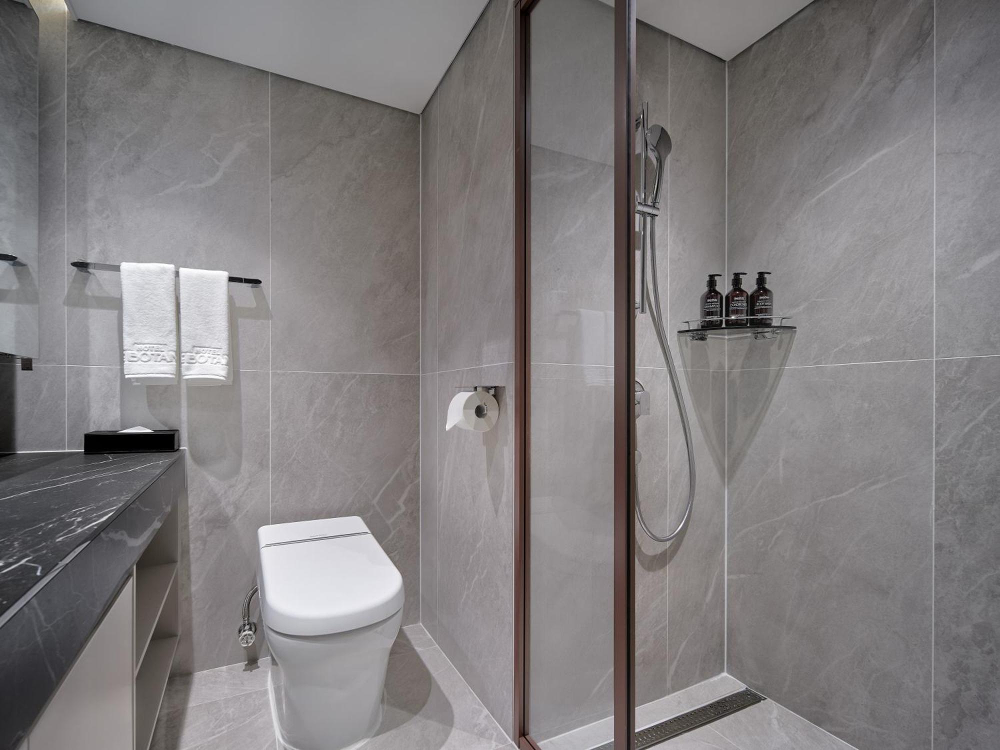Hotel The Botanik Sewoon Myeongdong 4*